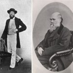 Left: Photograph of Alfred Russel Wallace, taken in Singapore, 1862. Kilde: Marchant, James (1916) Alfred Russel Wallace — Letters and Reminiscences, Vol. 1. Photo: Unknown. Public Domain. Right: A photograph “Carte de Visite” of Charles Darwin from 1867 by Ernest Edwards (1837-1903). Public Domain.