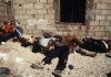 Sabra- og Chatila-massakrene - et af de blodigste kapitler i palæstinensisk historie - kunne ikke have fundet sted uden den aktive støtte fra den israelske hær, der besatte Beirut - Foto: Arkiv. Source: chroniquepalestine.com.