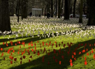 The Iraq Body Count Exhibit at Portland State University, Portland, Oregon, USA. Each white flag represents at least 5 Iraqis, and each red flag represents 5 Americans, killed as a result of the 2003 invasion of Iraq. As of March 15, 2008, at least 655,000 Iraqi civilians and 3,972 American soldiers have died. Photo: Lisa Norwood. (CC BY-NC 2.0).