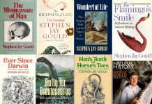 Et udsnit af Stephen Jay Goulds bøger og et nr. af Natural History, som han skrev mange artikler til.