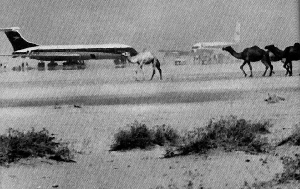 Airplanes and Camels. The airliners on the ground at Dawson Airfield during the PFLP-hosted press conference. 1970. Source: http://en.wikipedia.org/wiki/File:Dawsonfieldcamels.jpg. Public Domain.