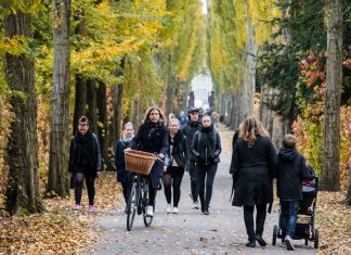 Gående og cyklende ved Assistens Kirkegård, Nørrebro, København. 24/10 2015 Foto: Kristoffer Trolle