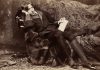 Oscar Wilde, photographic print on card mount: albumen. Circa 1882. Retouched. Photo: Napoleon Sarony (1821–1896). See below 16 Oktober 1854.