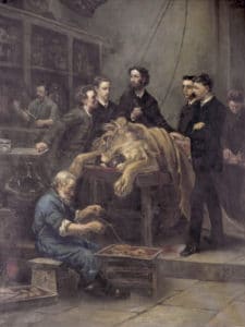 The Anatomy Lesson of Max Weber. From left to right, assistent Sleking, J.M. Janse, J.Th. Oudemans, prof. Weber, F.A.F.C. Went, unknown observer, son of assistent Sleking. In front, an old man, known as 'the last whaler'. Oil on canvas Louis Stracké (1856–1934), painted in 1886. Photo: Source/Photographer Universiteitsmuseum Amsterdam. Public Domain.