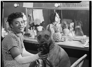 Portrait of Billie Holiday and Mister, Downbeat(?), New York, N.Y., ca. June 1946 (LOC). Photo: William P. Gottlieb, 1917-. Public Domain.
