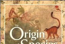 Cover of On the Origin of Species