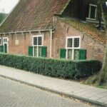 Spinoza’s house in Rijnsburg from 1661 to 1663, The House of the thinker today a Museum that preserves his work. Photo: Albeiro Rodas, the house of Baruch Spinoza. The Work donated to wikipedia. (CC BY-SA 3.0).