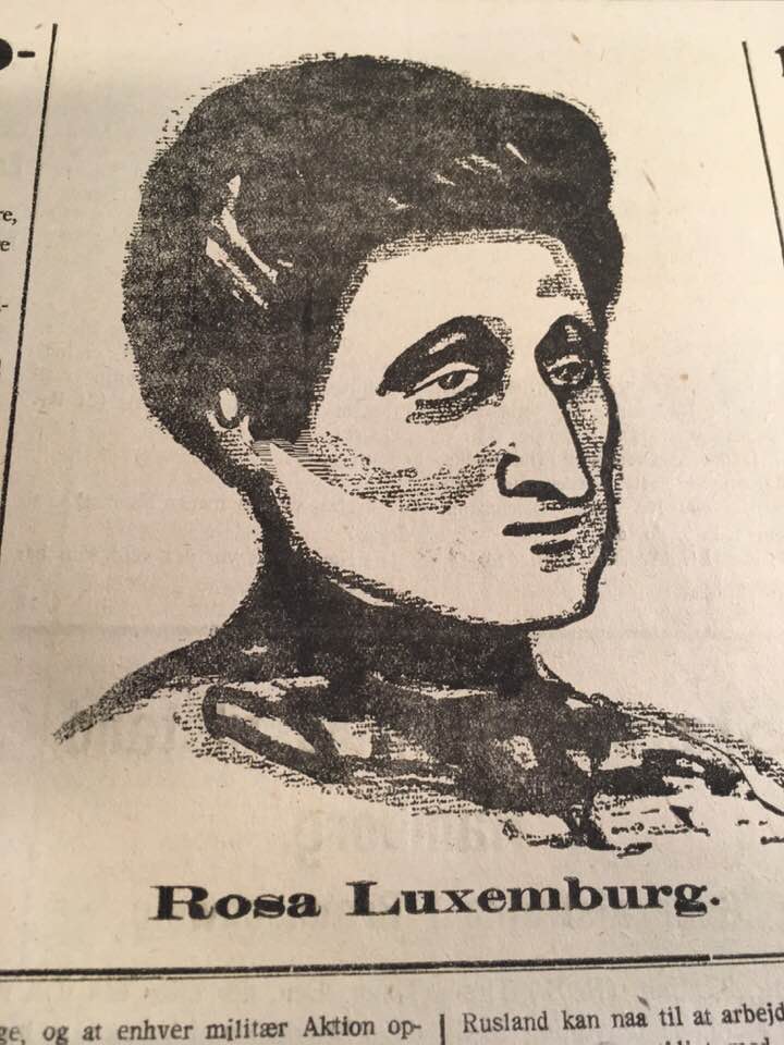 Omslag for den danske bog "Rosa Luxemburg - idé og handling" af Paul Frölich, 2010.
