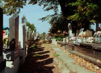 Cementary Alley#2. Photo: Pawel Pajak. (CC BY-NC 2.0).