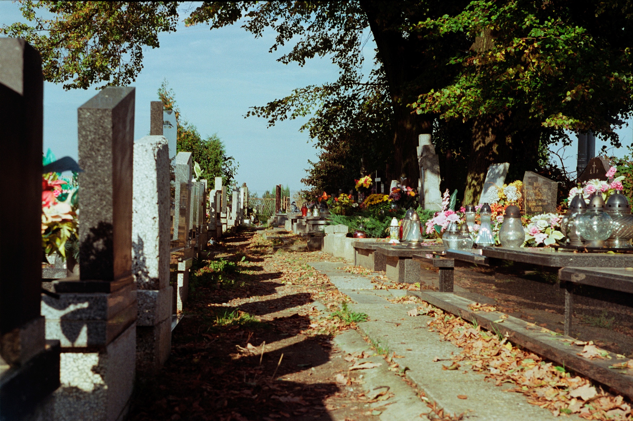 Cementary Alley#2. Photo: Pawel Pajak. (CC BY-NC 2.0).